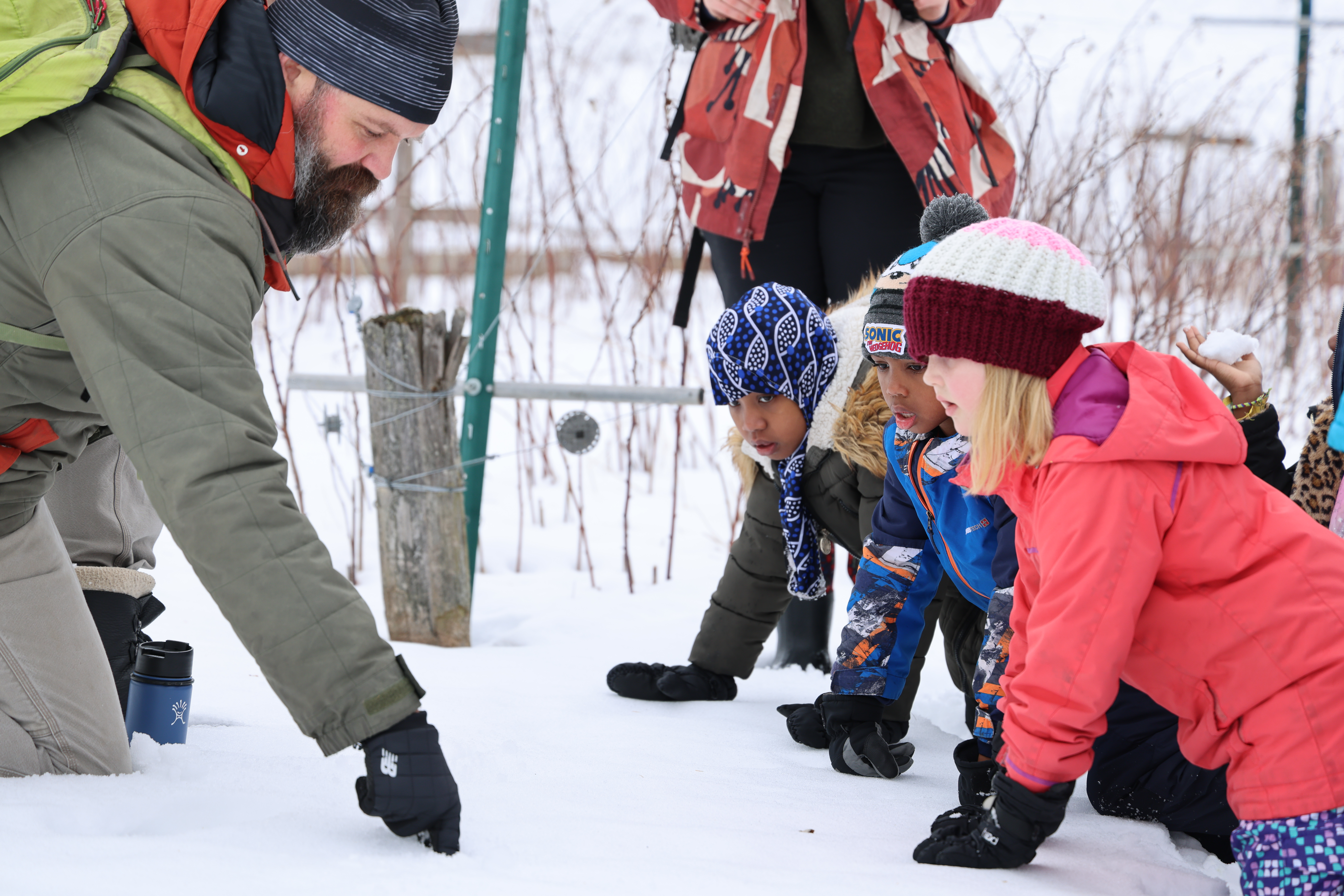 Three children and an adult examining something on the ground in the snow.