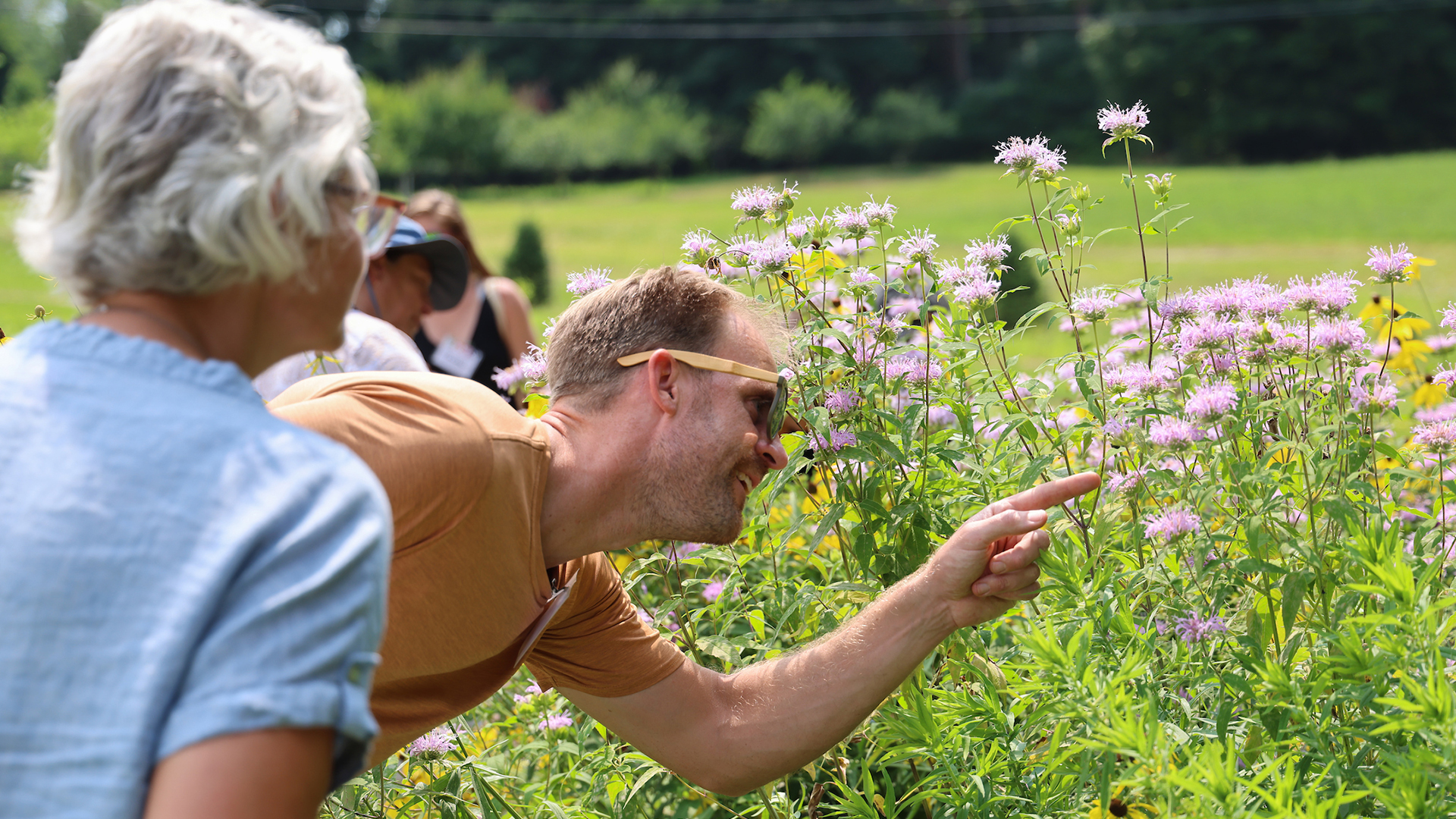 Two people look closely and point at flowers in a summer garden