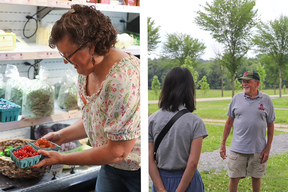 two photos: woman placing pints of currants into cooler; older man laughing as tour leader