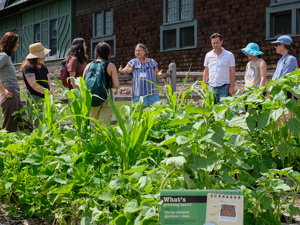 A dozen adults stand in discussion in a garden behind a raised bed of corn bean and squash