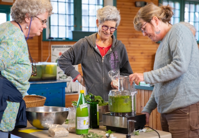 Three adults blend nettle pesto in a food processor.