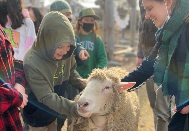 young boy patting a sheep