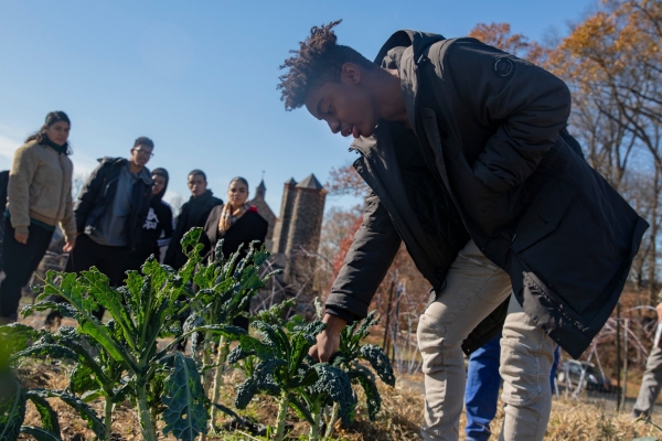 HSES students gardening. Photo sourced from New York Times, December 2019.